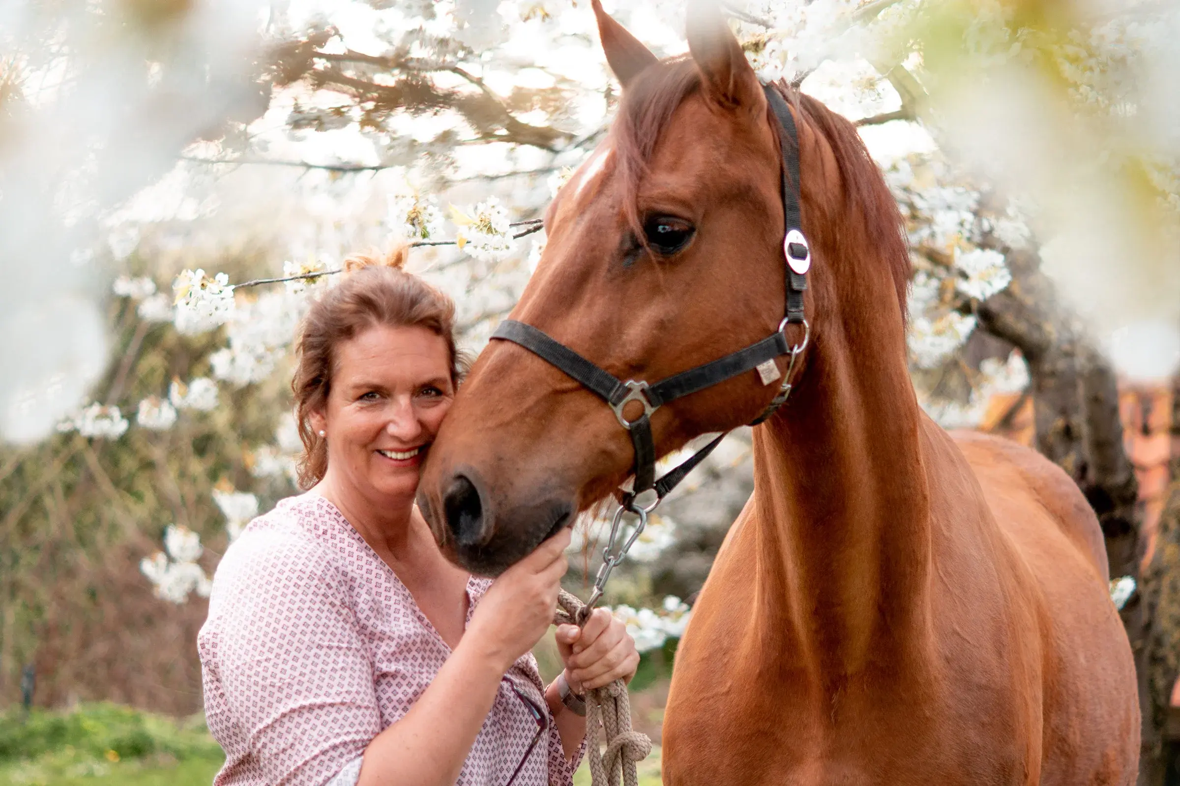 Reiterin mit Pferd auf Hof Behrens