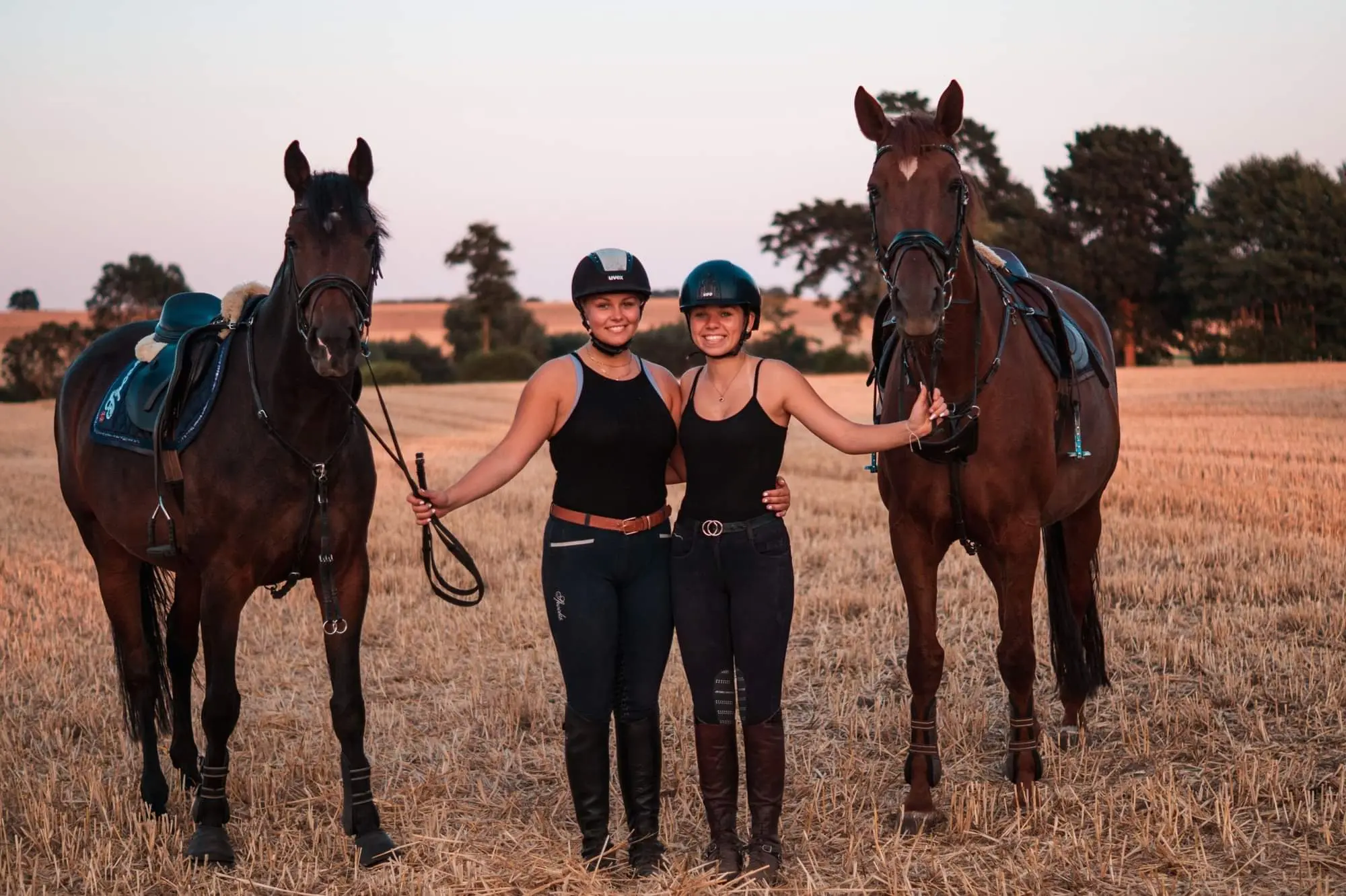Sommer auf Hof Behrens